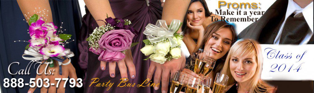 Los Angeles prom party  bus and limo service partybusline4
